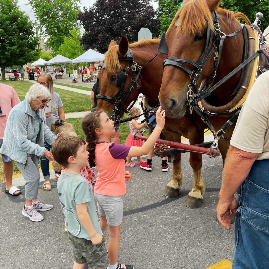 kids petting the nose of a horse